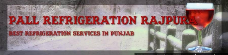 http://pallrefrigerationrajpura.synthasite.com/resources/palllre.jpg.cropped900x220o0%2C-10s904x242.jpg